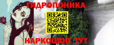 прущая мука Кингисепп