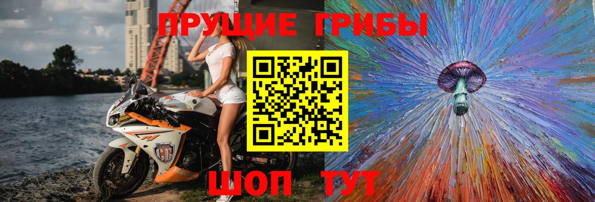 Псилоцибиновые грибы прущие грибы  Вход с VPN  Кропоткин  где купить наркоту  Псилоцибиновые грибы GOLDEN TEACHER 